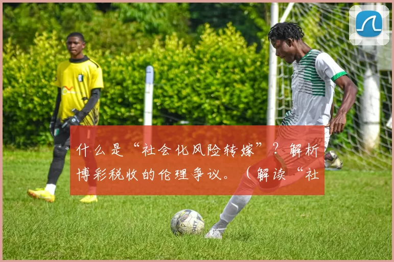 什么是“社会化风险转嫁”？解析博彩税收的伦理争议。（解读“社会化风险转嫁”：博彩税收的伦理困境）