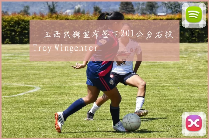 埼玉西武狮宣布签下201公分右投 Trey Wingenter
