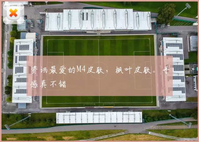资讯最爱的M4皮肤，枫叶皮肤。手感真不错