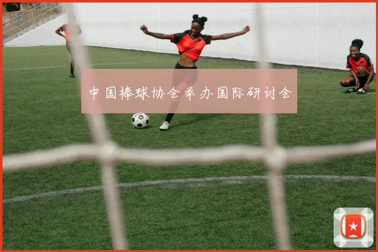 中国棒球协会举办国际研讨会