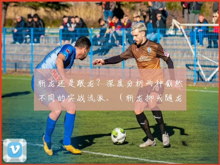 斩龙还是跟龙？深度分析两种截然不同的实战流派。（斩龙抑或随龙：两大实战流派的深度拆解）