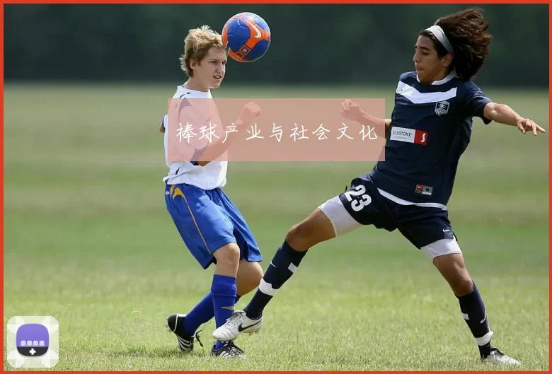 棒球产业与社会文化